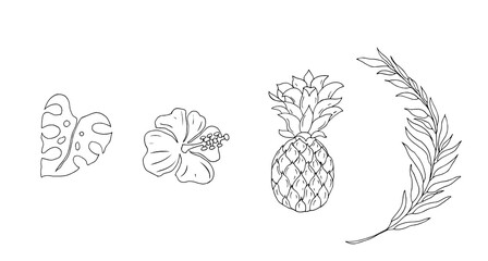 Fototapeta premium Palm leaf, pineapple, hibiscus flower, monstera leaf. Tropical plants, vector linear drawing.