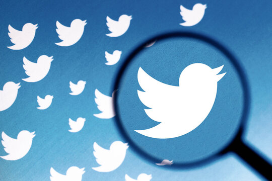 June 8, 2021, 2021, Brazil. In this photo illustration the Twitter logo is seen on the computer screen through a magnifying glass.