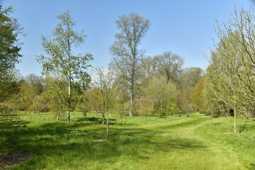 Pelouse garnie de variété d'arbres rares à l'arboretum de Wespelaar en Brabant Flamand 