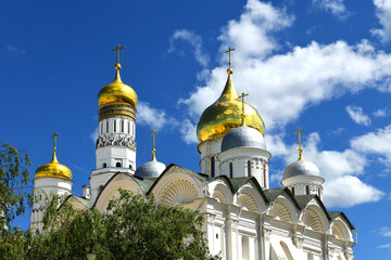 Fototapeta na wymiar Domes of cathedrals of Moscow Kremlin on summer sunny day. Russia