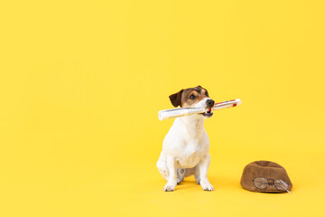 Cute dog with newspaper and hat on color background