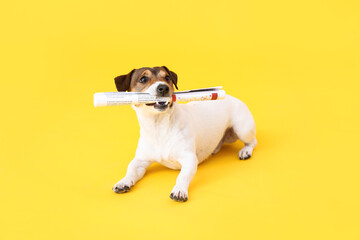 Fototapeta na wymiar Cute dog with newspaper on color background