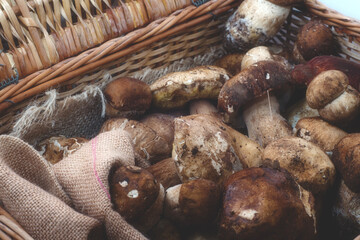 Wooden basket full of fresh boletus mushrooms