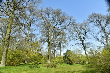 Pelouse garnie de variété d'arbres rares à l'arboretum de Wespelaar en Brabant Flamand 