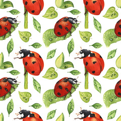 LadyBug Digital Paper. Insect And Plant Seamless Pattern. Floral Scrapbook Paper. Watercolor Summer Background.