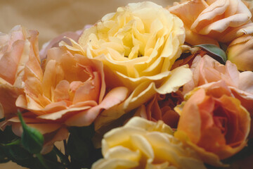 Romantic bouquet of soft aroma wild roses from summer garden