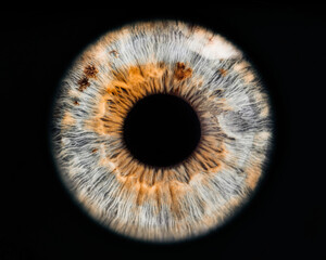 eye of a person - obrazy, fototapety, plakaty