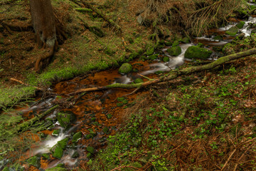 Skrivan color creek in Krusne mountains in spring morning after rain