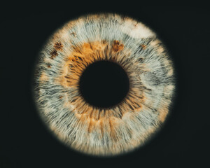 eye of a person