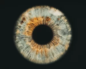 Foto auf Acrylglas eye of a person © Lorant