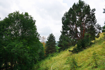 Fototapeta na wymiar Landscape with forest in foothills of North Caucasus.