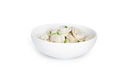 Dumplings with marbled beef and green onion isolated on a white background.