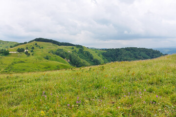 Landscape with meadows and forests in foothills of North Caucasus.