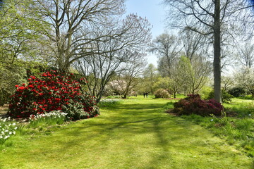 Aménagement paysagère de variété de plantes et d'arbres à l'arboretum de Wespelaar 