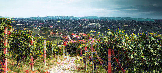 Panoramablick über die Weinberge von Piemont