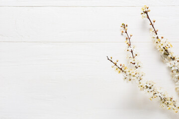 Beautiful blooming branches on light wooden background