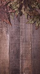 leaves on wooden background