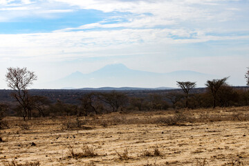 Fototapeta premium Ilpartimaro in der Trockenzeit