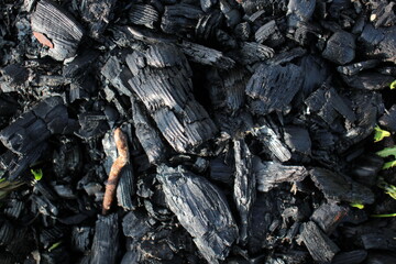 Black burnt wooden wall dark background texture charcoal