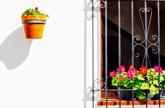 Maceta con flores junto a una ventana con rejas en Mijas