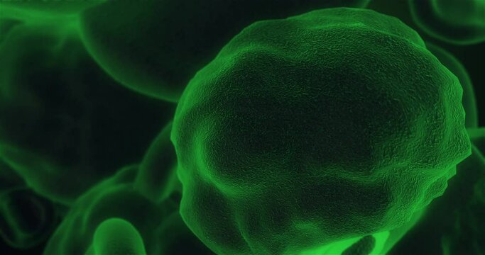 Cell moving in human tissue, microscopic view