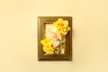 Beautiful daffodils and frame on color background