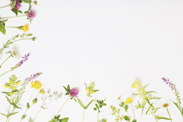 Fototapeta na wymiar beautiful wild flowers on white background