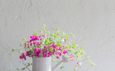 pink summer flowers in watering can on background white wall