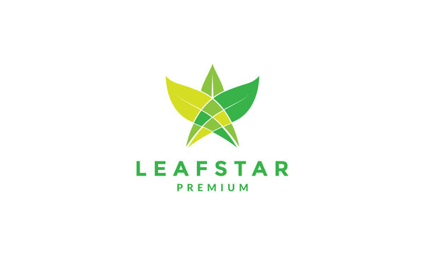 Premium Vector  Green star logo design template