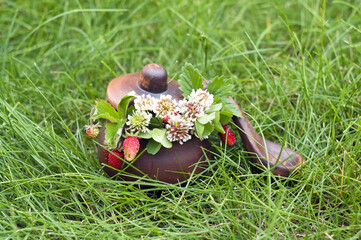 clay pot with clover and strawberries on the grass. berry season. natural food