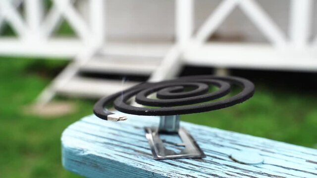Mosquito spiral. Burning mosquito coil on metal stand. A green mosquito spiral smokes outside. Mosquito repellent coil