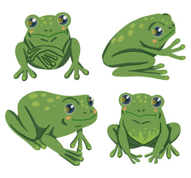 Cute frogs flat hand drawn vector illustrations. Colorful collection in scandinavian style. Abstract cartoon animals cliparts. Simple elements for design, print, wrapping, decor, card, sticker, banner