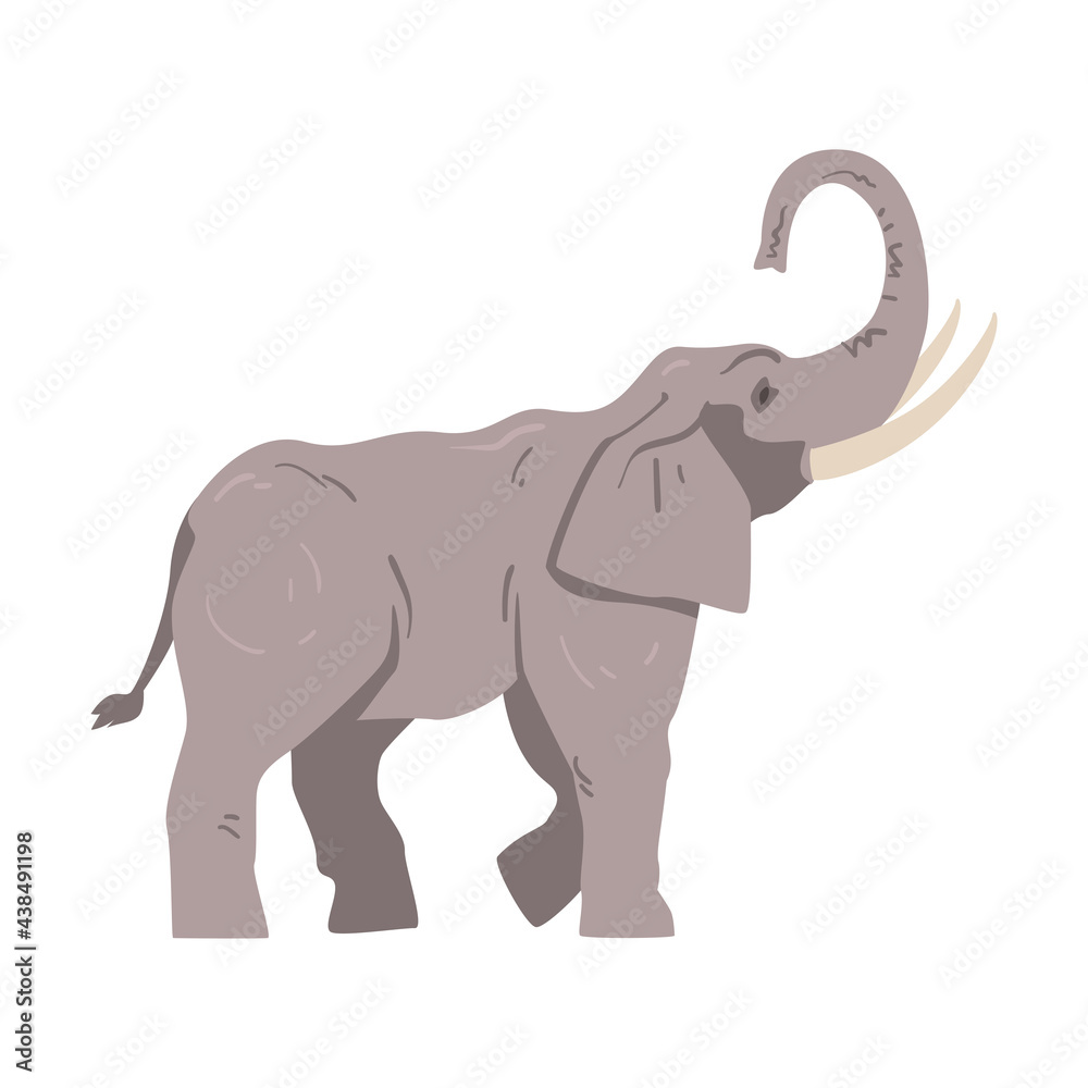 Wall mural standing elephant as large african animal with trunk, tusks, ear flaps and massive legs side view ve