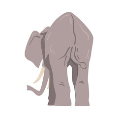 Standing Elephant as Large African Animal with Trunk, Tusks, Ear Flaps and Massive Legs Back View Vector Illustration