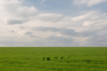 sky with thick clouds and green grass field