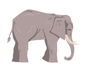 Fototapeta premium Standing Elephant as Large African Animal with Trunk, Tusks, Ear Flaps and Massive Legs Vector Illustration