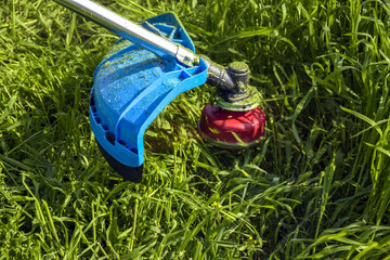 Process of cutting green grass with trimmer. Rotating head with red fishing line cuts grass. Gasoline powered mower. Close-up. Selective focus.