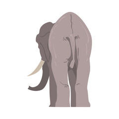 Standing Elephant as Large African Animal with Trunk, Tusks, Ear Flaps and Massive Legs Back View Vector Illustration