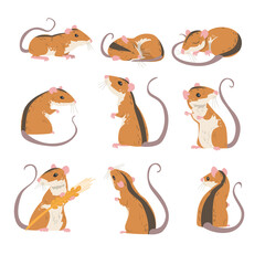 Field Mouse as Small Rodent with Long Tail and Dorsal Black Stripe Vector Set