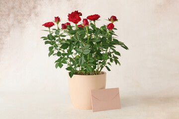 Fototapeta na wymiar Beautiful red roses in pot and envelope on light background