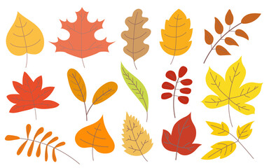 Various autumn leaves cartoon illustration set. Brown, green and yellow maple and oak fall leaves. Dry plants of September and October isolated on white background. Foliage, forest concept