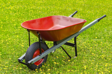 Red wheelbarrow on lawn with dandelions
