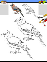 drawing and coloring task with jay bird animal character