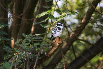 Unterwegs am Lake Victoria