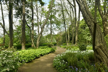 Fototapeta na wymiar Parterres de variétés de fleurs entre les chemins et arbres au bois qui sépare les jardins de Jean Sobieski et celui du fleuriste à Laeken 
