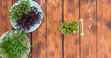 Micro greens in shopping cart on wooden background. Different types of microgreens for sale. Healthy eating concept