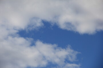 爽やかな青空と白い雲