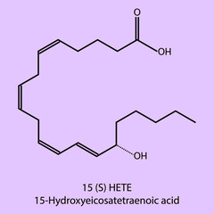 15-Hydroxyeicosatetraenoic acid - Eicosanoid biomolecule molecular formula. Skeletal molecule structure vector eps10.