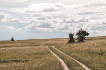 Maasai Mara National Park Safari Tour