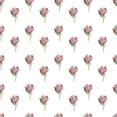 Watercolor pink King Protea flower seamless pattern on white background. Botanical pattern for wedding decoration,textile, wrapping paper, scrapbooking. Digital illustration in realistic style.